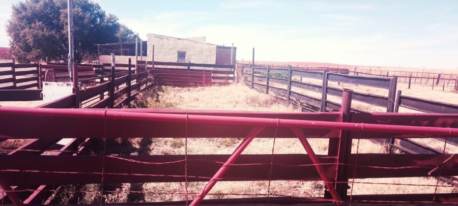 3 Bedroom Property for Sale in Bainsvlei Free State